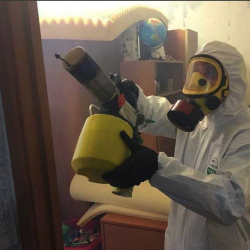 Уничтожение клопов в квартире. Волжск